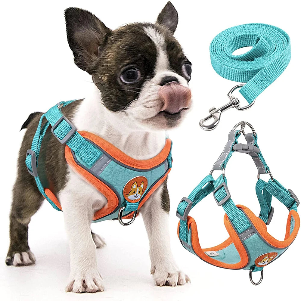 Step-in Pet Adjustable Soft Harness and Leash Set