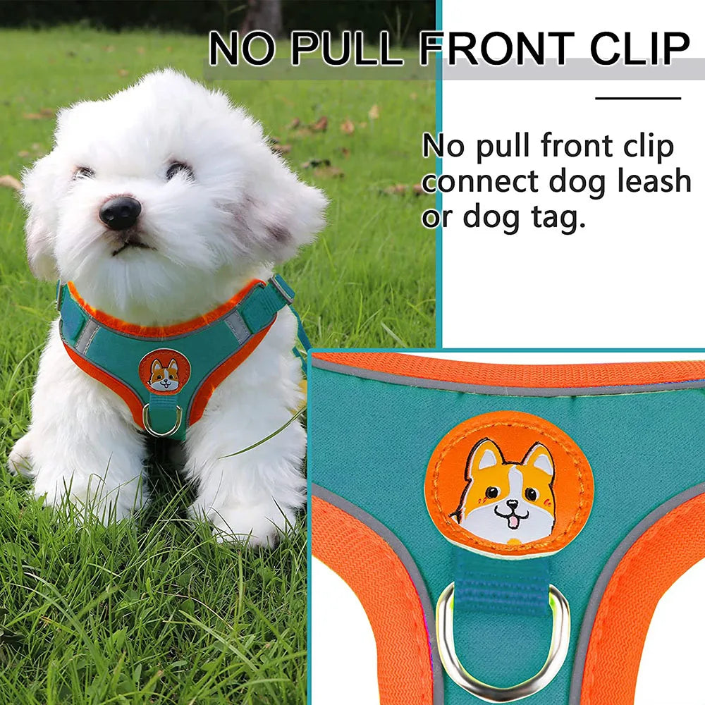Step-in Pet Adjustable Soft Harness and Leash Set