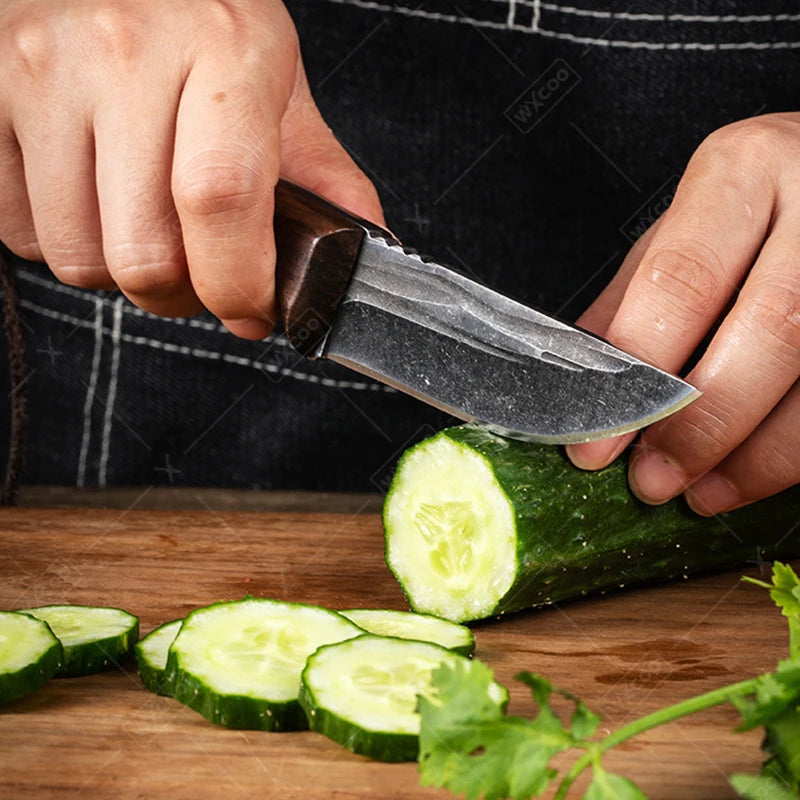 Japanese Professional Chef Fruit Knife