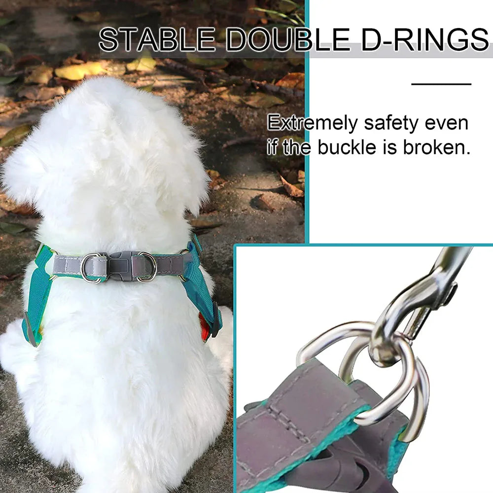 Step-in Pet Adjustable Soft Harness and Leash Set